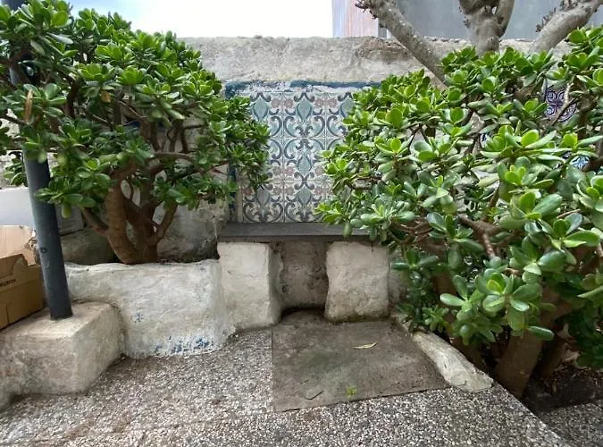 Gh Al Fortino Bilocale Con Giardino Carloforte (Isola di San Pietro)